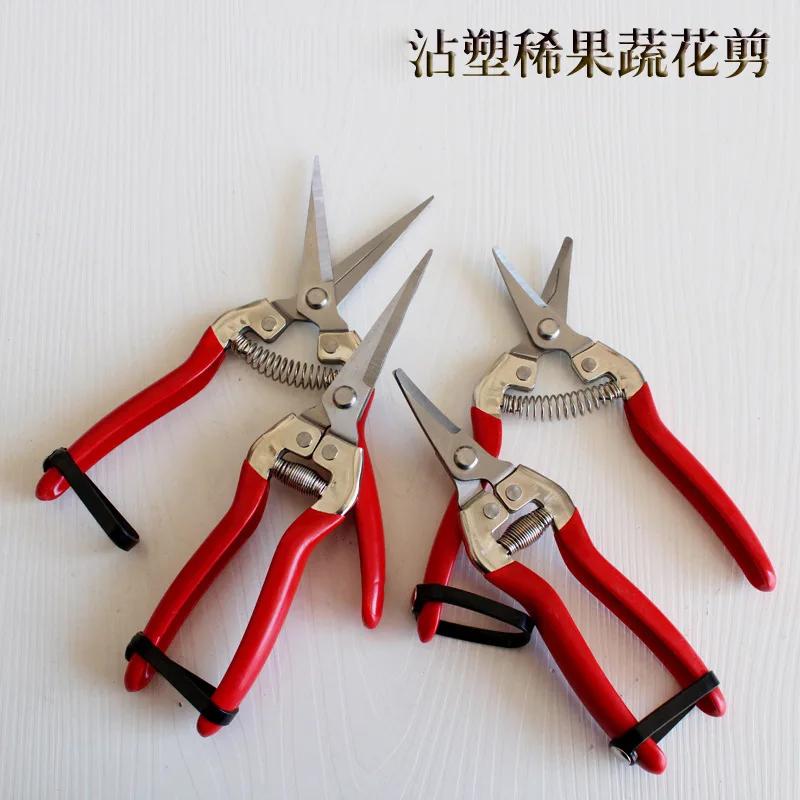Garden and gardening tools trimming scissors stainless steel dipped red steel handle thin flower thinning fruit scis